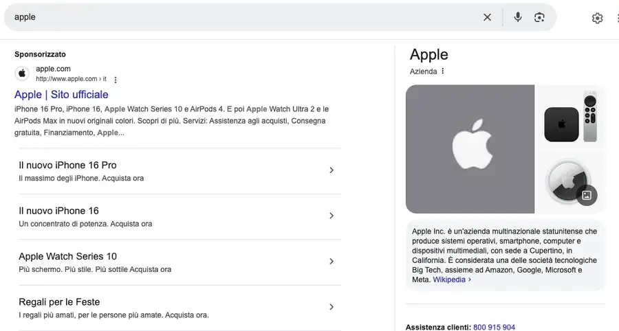 Gli esempi di brand bidding su Google