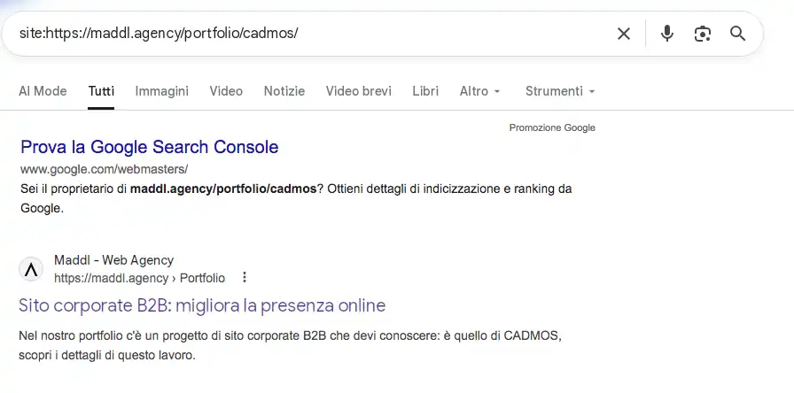 Come fare un controllo indicizzazione del sito web