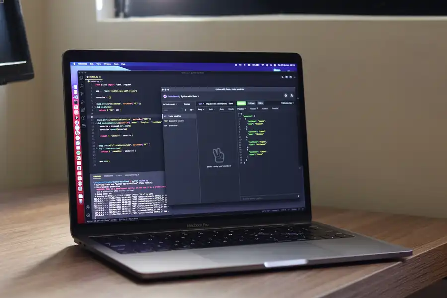 vibe coding